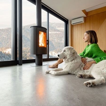 Frau in grünem Pullover mit Hund vor einem Kamin, Blick durch große Fenster
